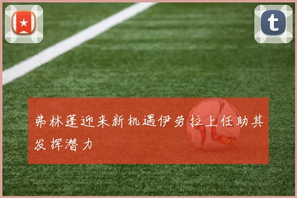 弗林蓬迎来新机遇伊劳拉上任助其发挥潜力